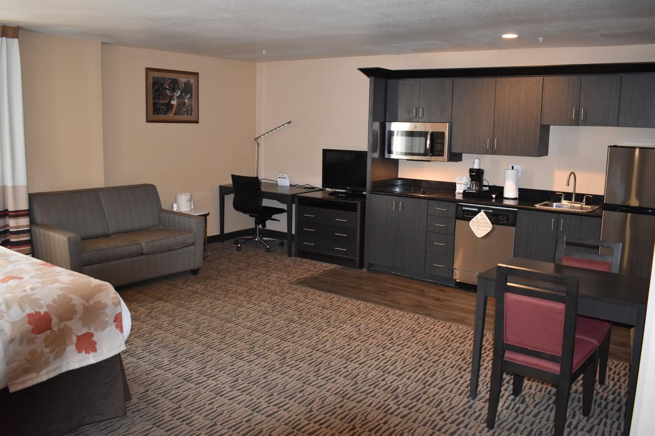 Executive King Room Non-Smoking