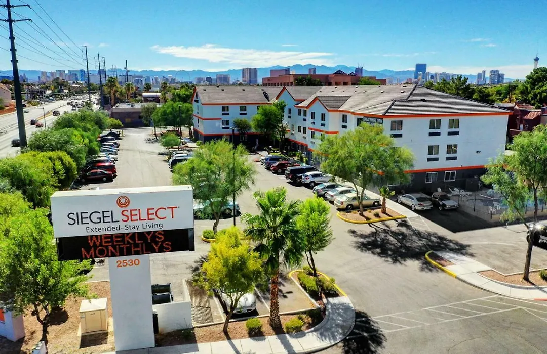 Siegel Select Flamingo-1