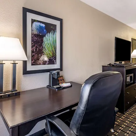 Best Western Plus Las Vegas West-3